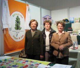 Fiera in Campo Fiera in Campo